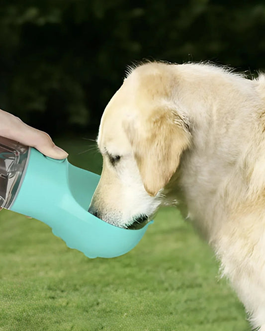 Botella portátil Mascotas 3 en 1