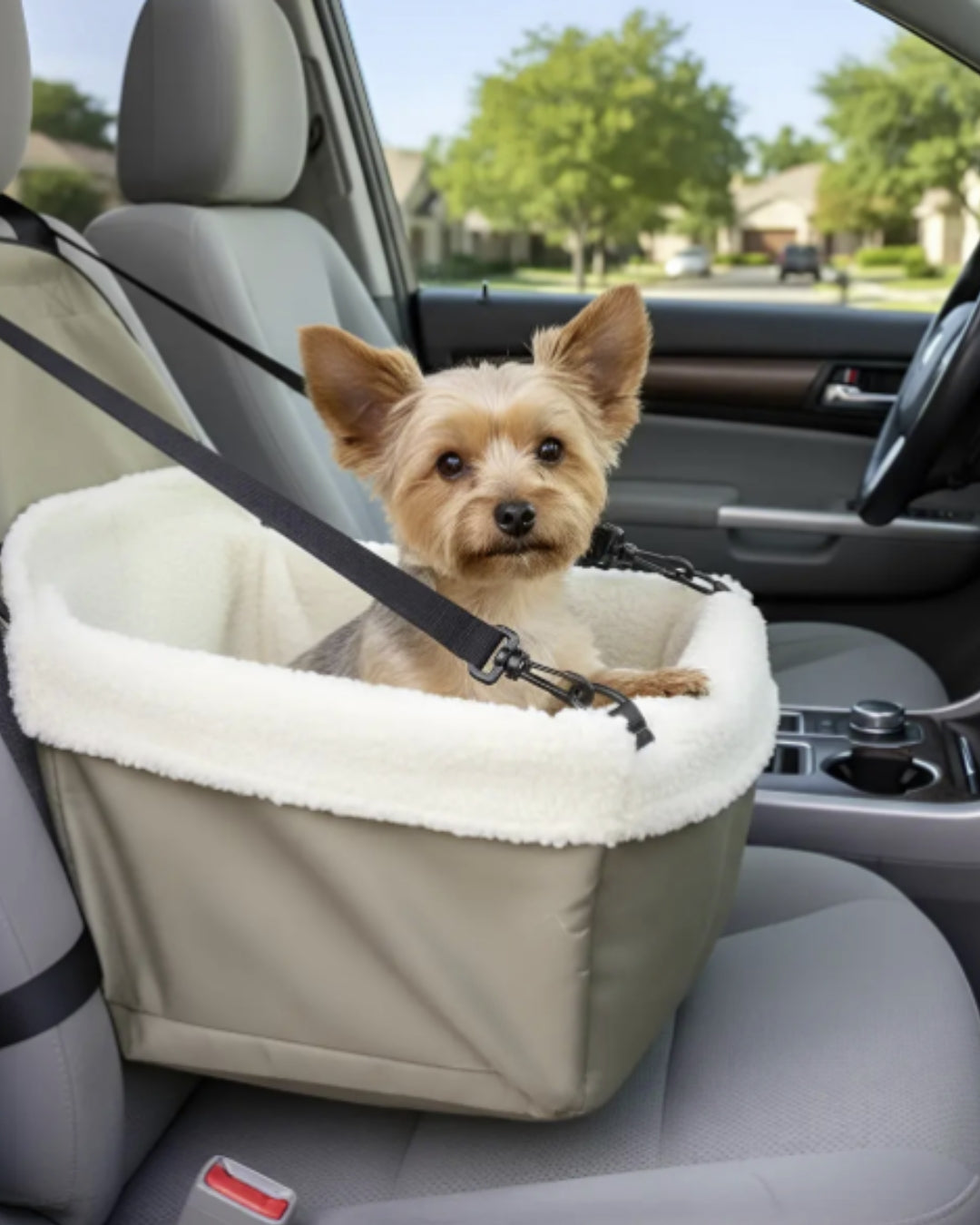 Asiento Premium de viaje para Mascotas